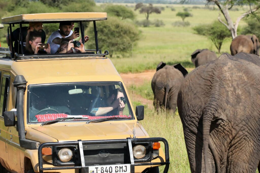 Safari land cruiser on safari in masai mara